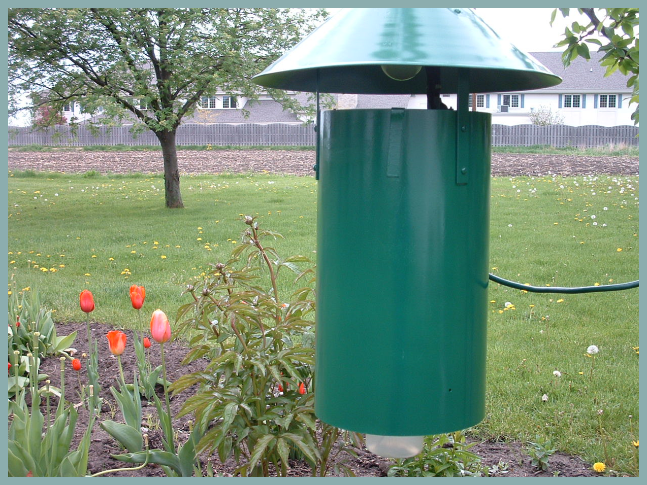 Adult Mosquito Surveillance